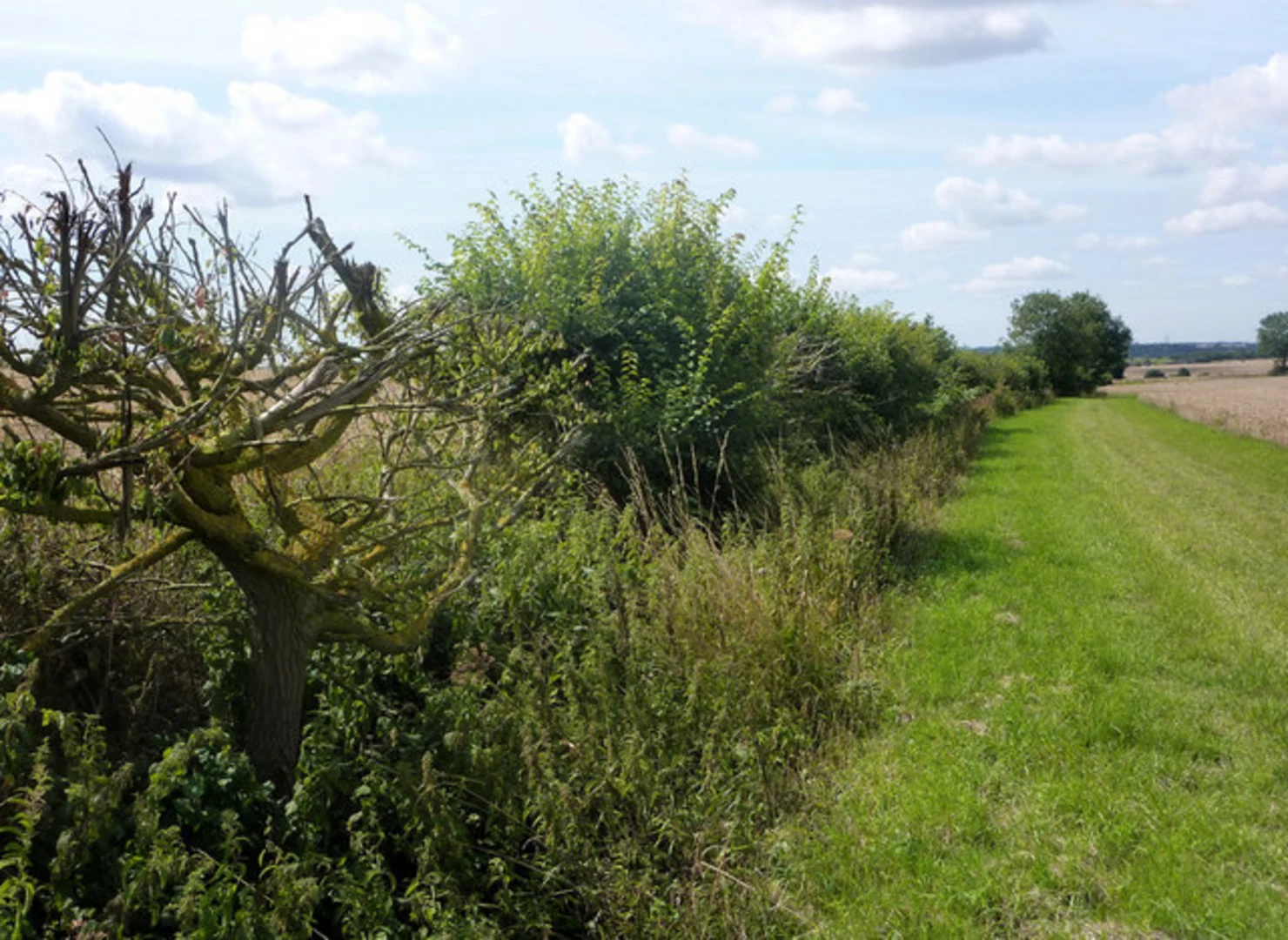 An image depicting the trail Tumulus Loop and its surrounding area.