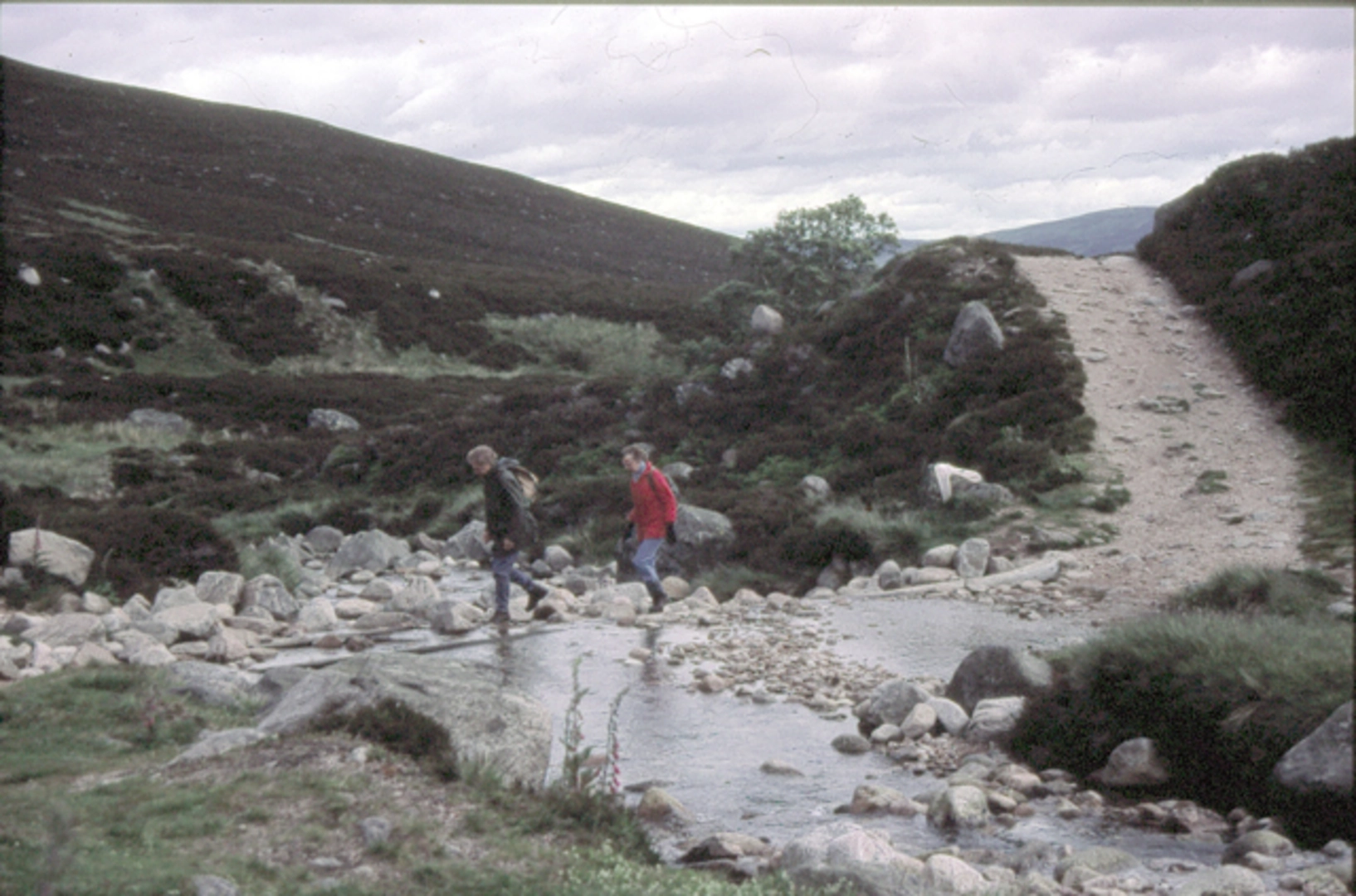 An image depicting the trail Carn an Daimh and Conachcraig Walk and its surrounding area.