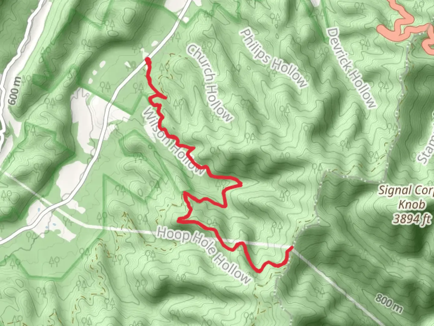 An image depicting the trail Shaws Fork Trail and its surrounding area.