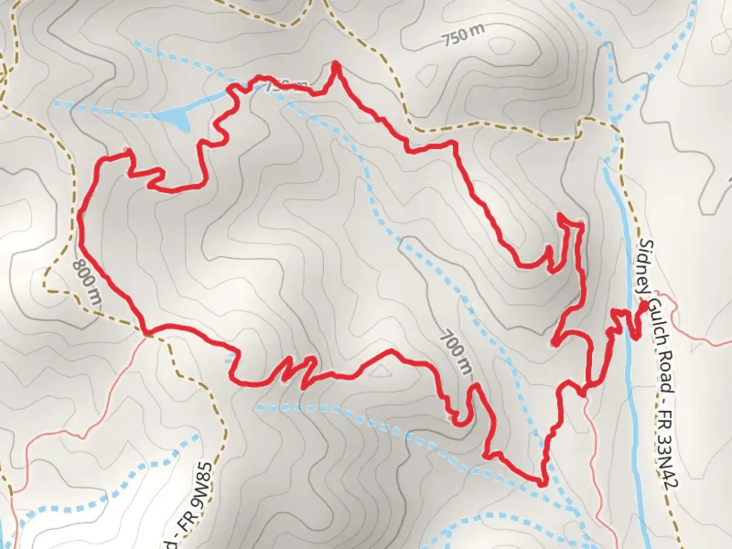 An image depicting the trail Mckenzie Gulch Trail and its surrounding area.