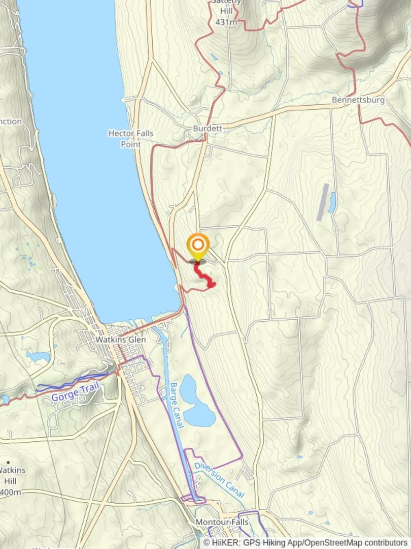 An image depicting the trail Jolly Road South Trail via Finger Lakes Trail and its surrounding area.