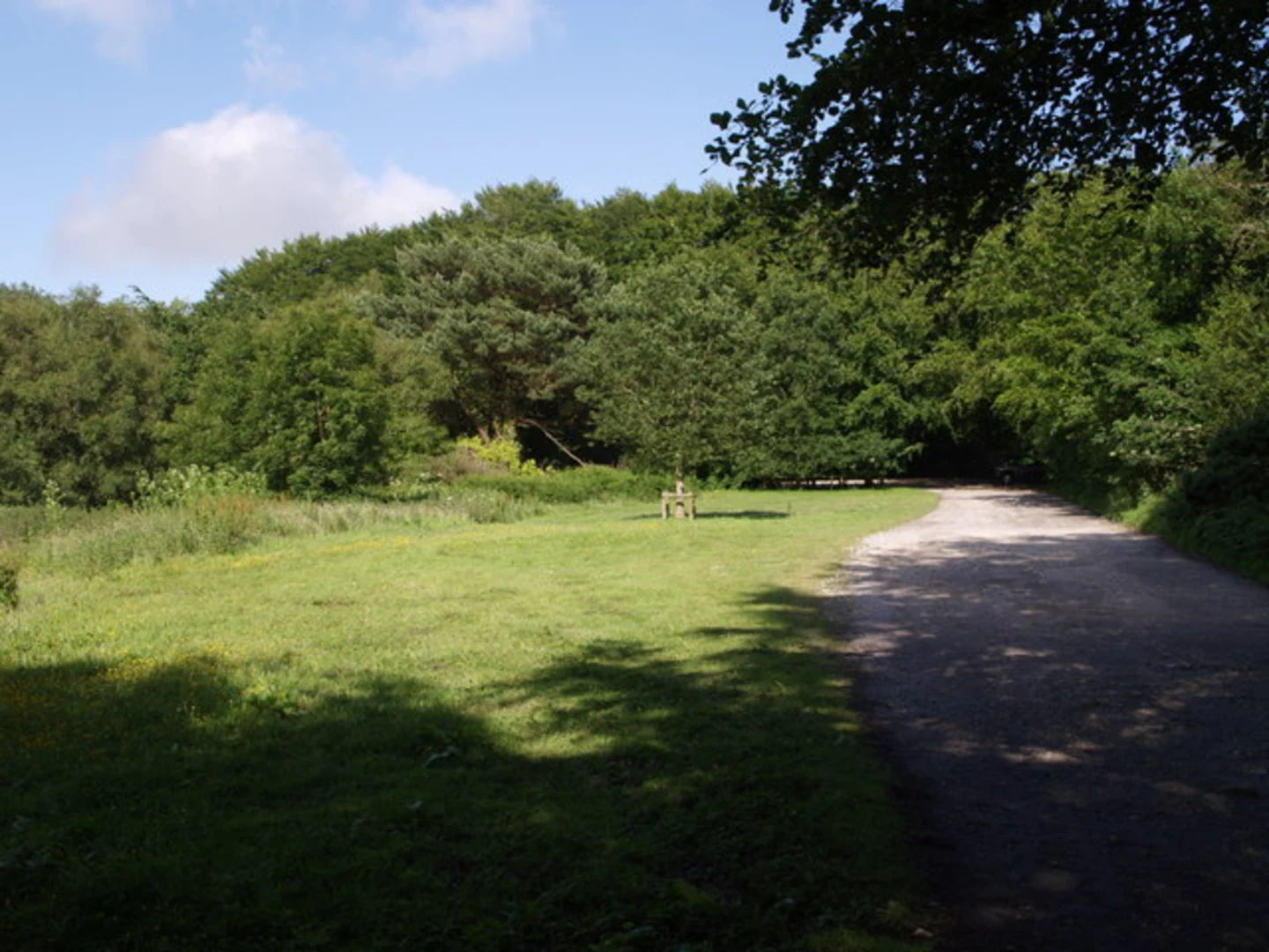 An image depicting the trail Lamberts Castle Loop and its surrounding area.