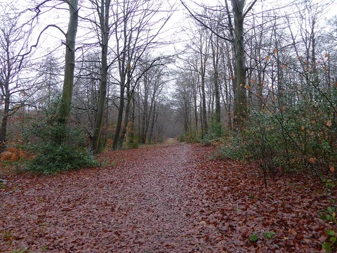 An image depicting the trail Three Castles Path from Windsor to Sandhurst and its surrounding area.