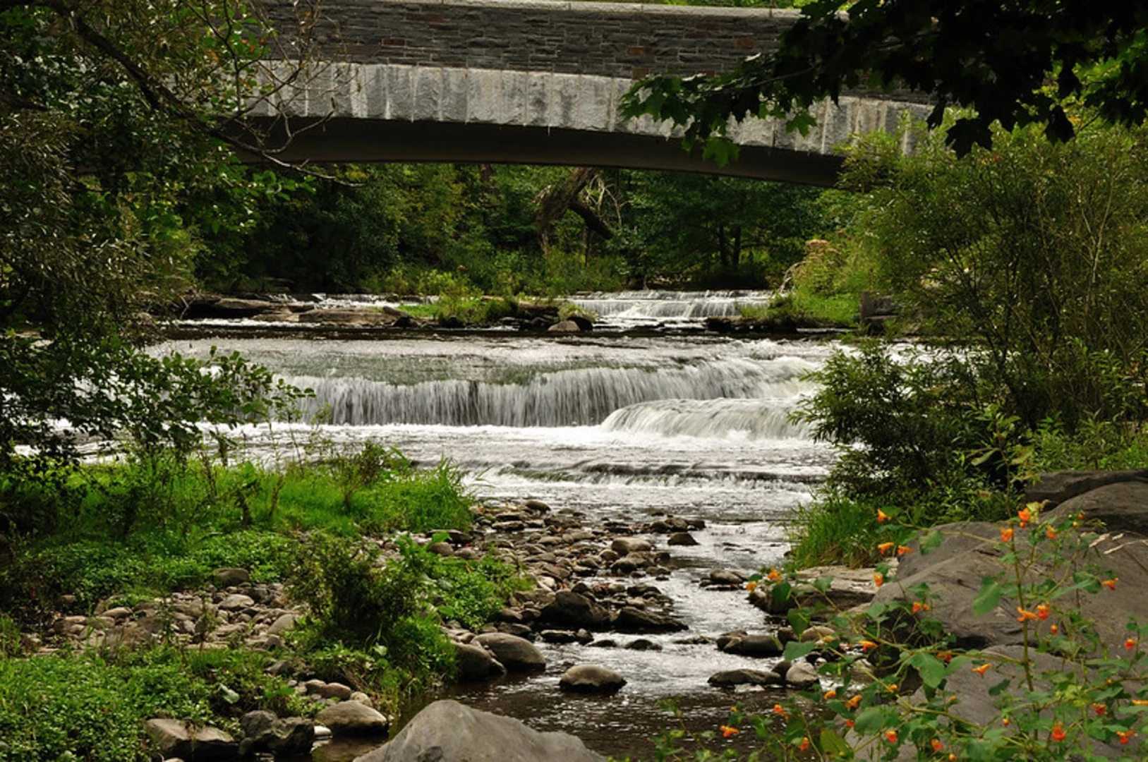 An image depicting the trail Chittenango Falls via Link Trail and its surrounding area.