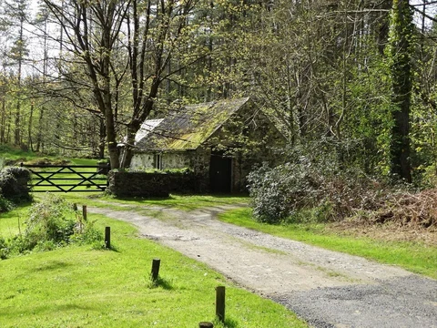 An image depicting the trail Newborough Forest Loop and its surrounding area.