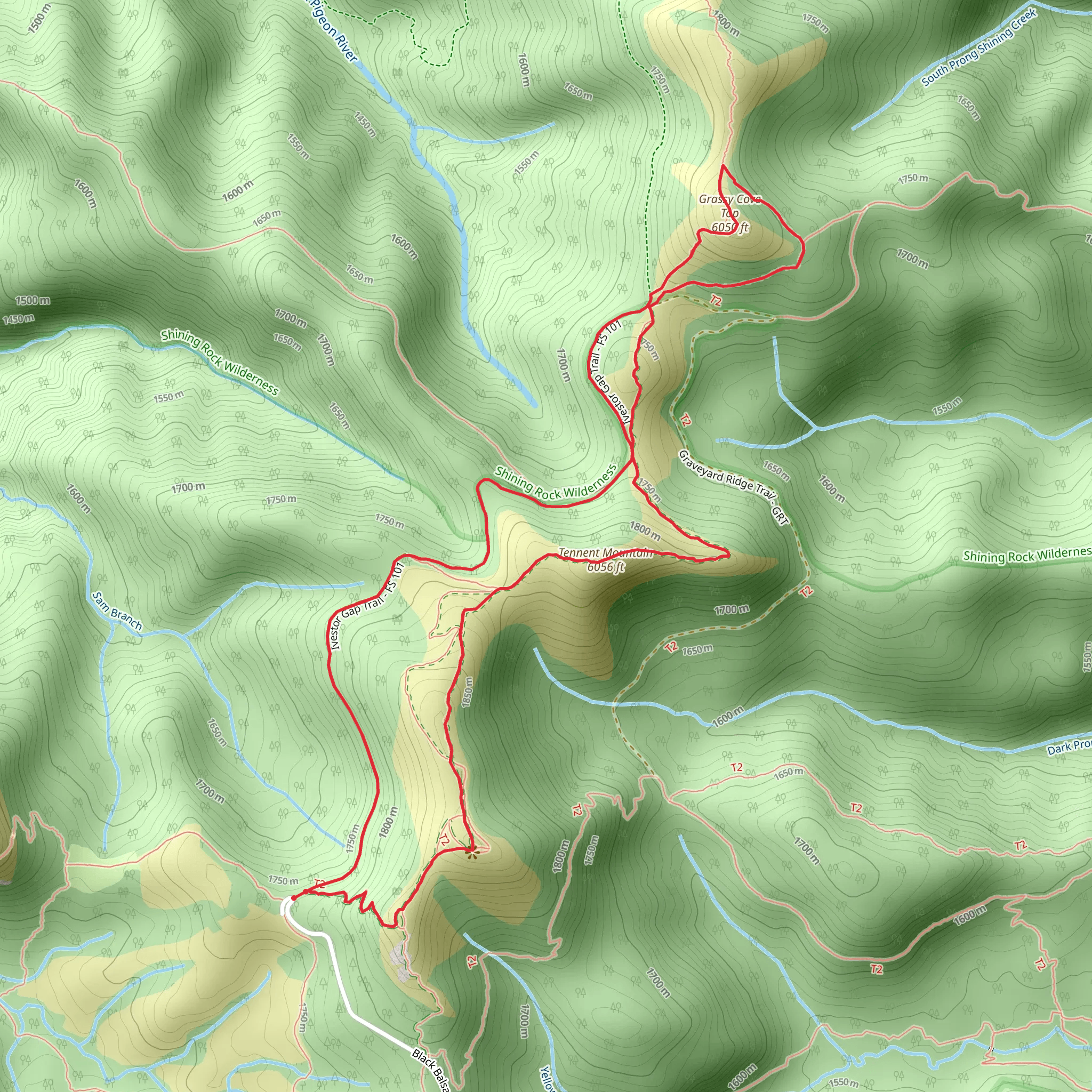 Tennent Mountain and Grassy Cove Top via Ivestor Gap and Black Balsam Summit Loop Trail mobile static map