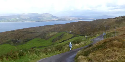 An image depicting the trail Gortnakilly Loop and its surrounding area.