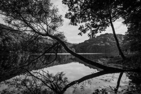 Bark Camp Lake Trail