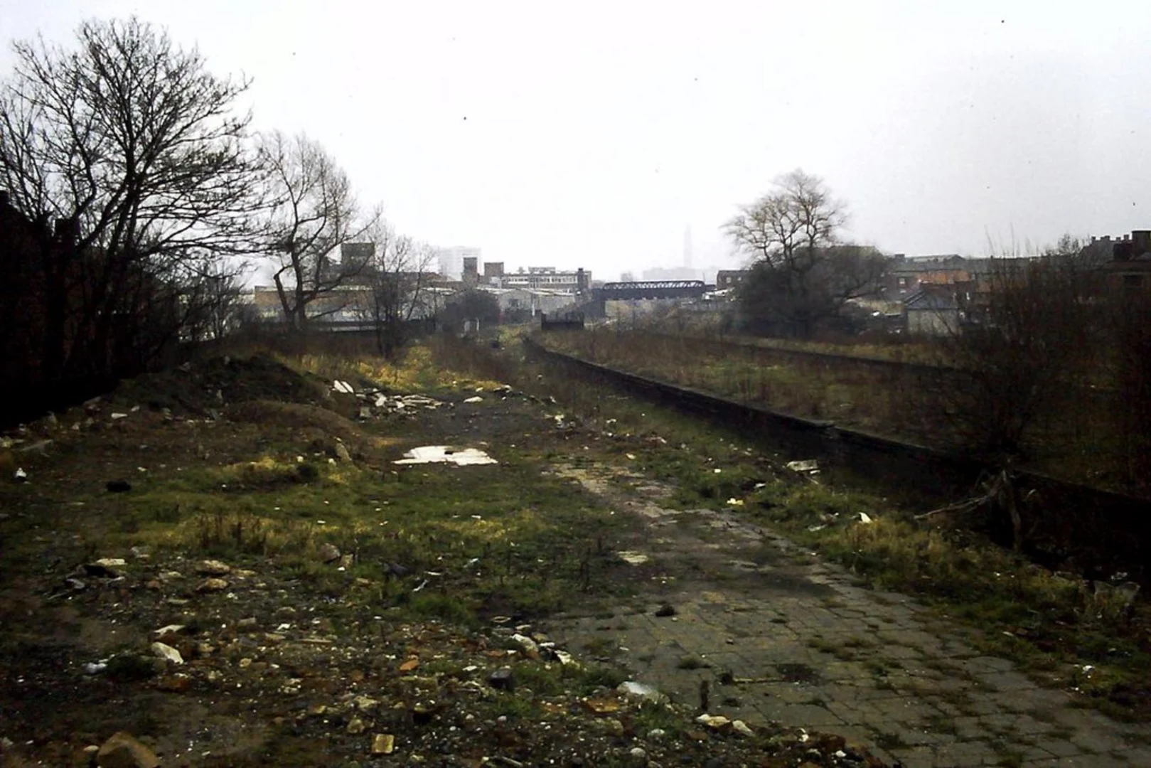 An image depicting the trail All Saints Park Loop and its surrounding area.