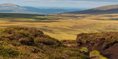 An image depicting the trail Drewstown Woods - Girley Bog Walk and its surrounding area.
