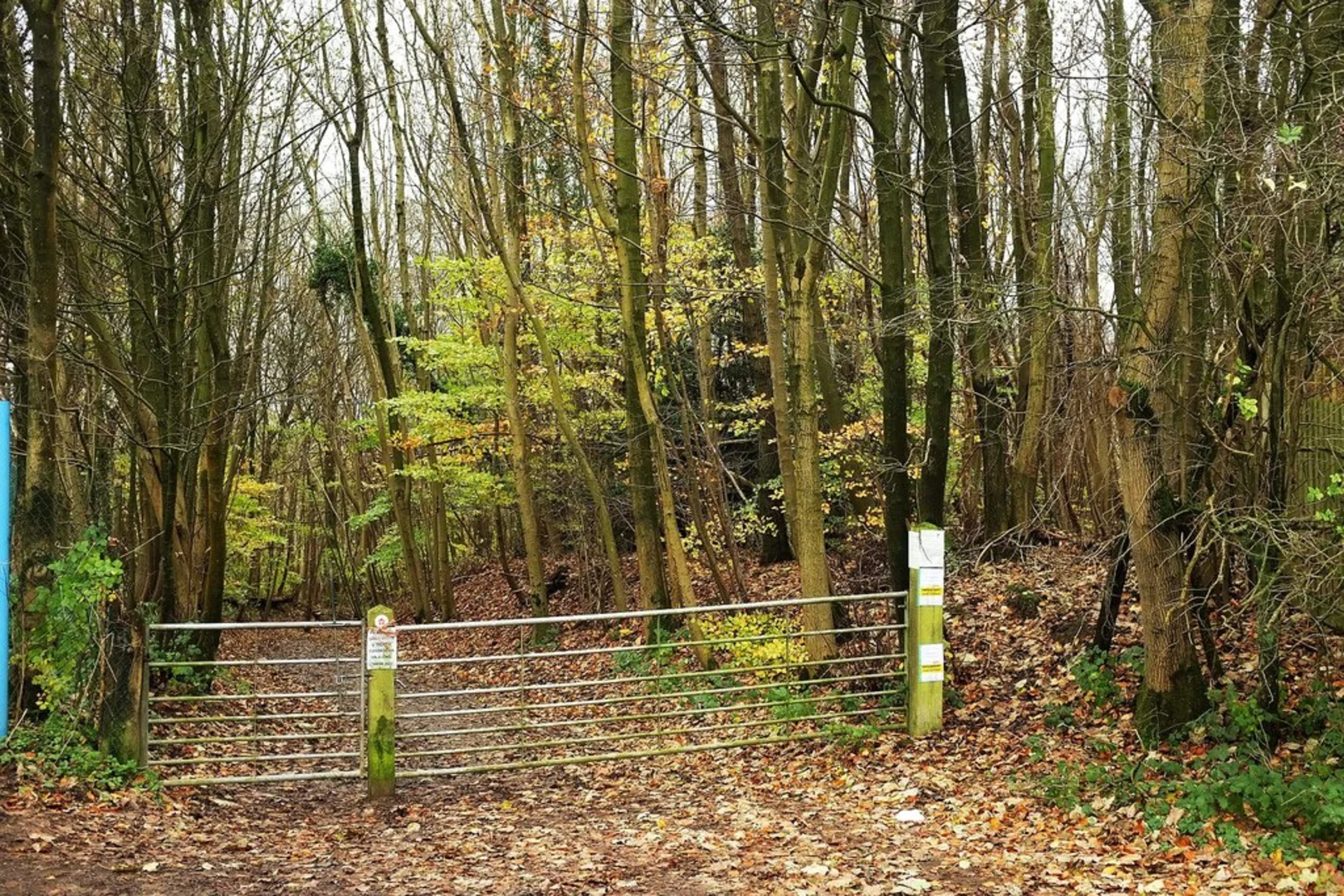 An image depicting the trail Titsey Plantation Loop and its surrounding area.