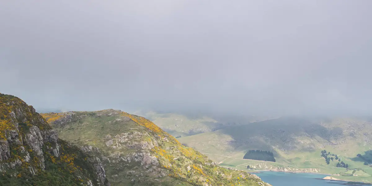 Mount Pleasant Track