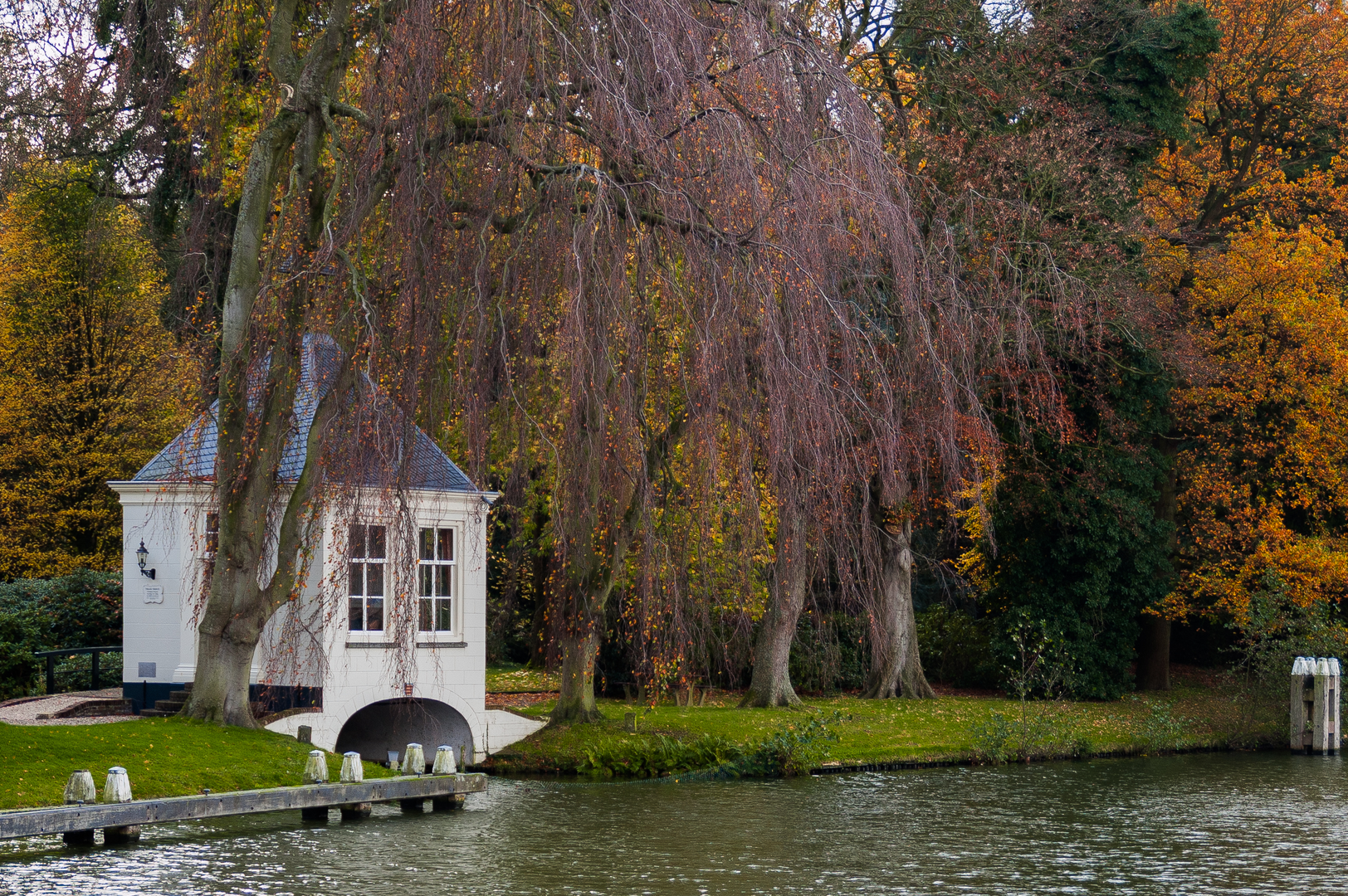 An image depicting the trail Theehuis and Anserdennen Loop and its surrounding area.
