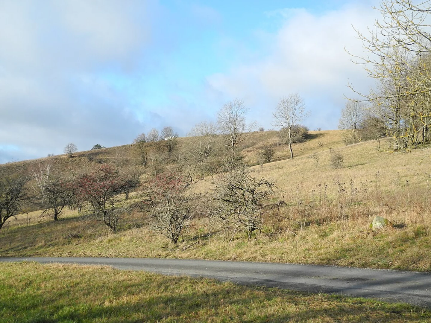 An image depicting the trail Hauensteiner and Burghalder Weg and its surrounding area.