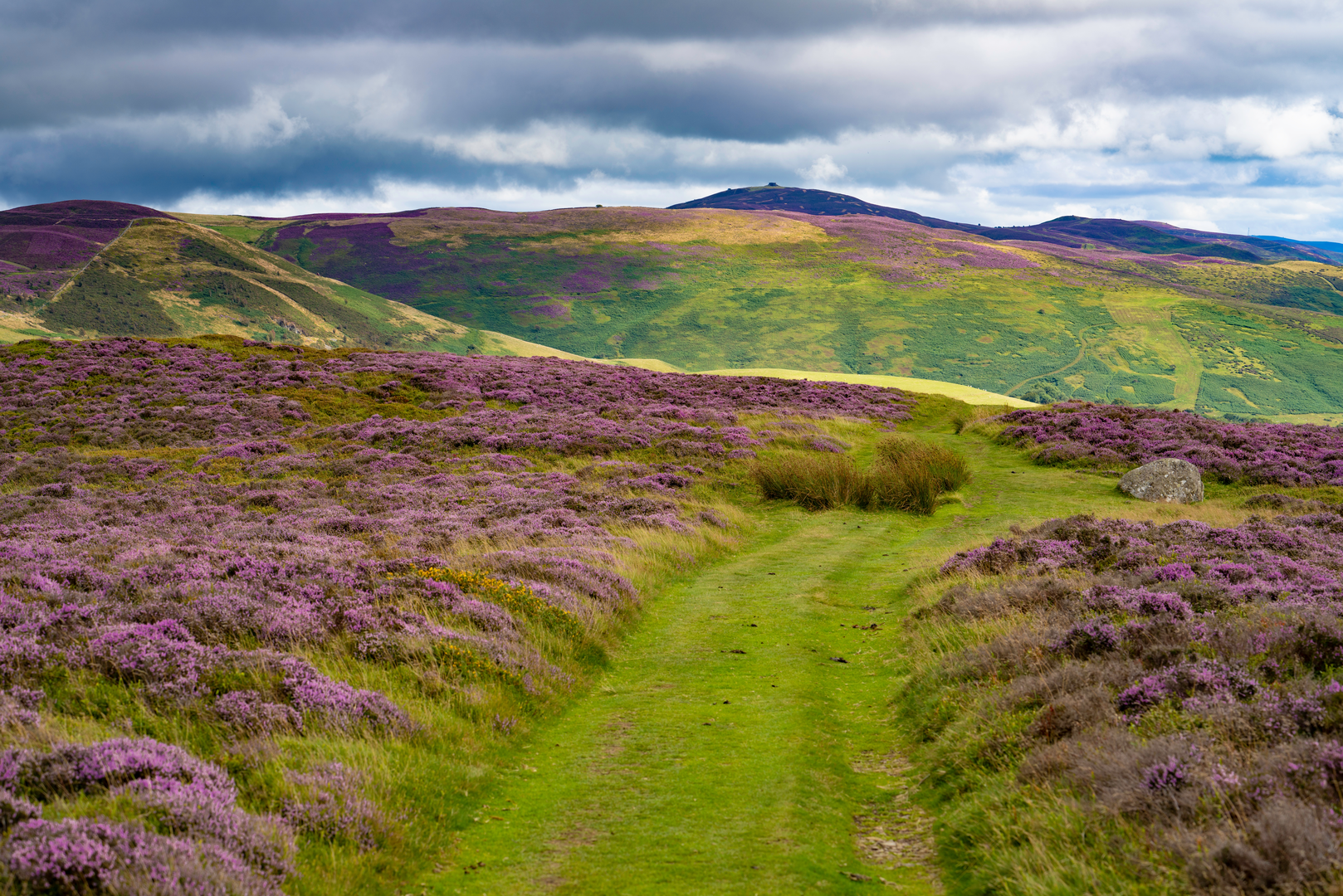 An image depicting the trail Moel Arthur and Moel Famau from Cilcain and its surrounding area.