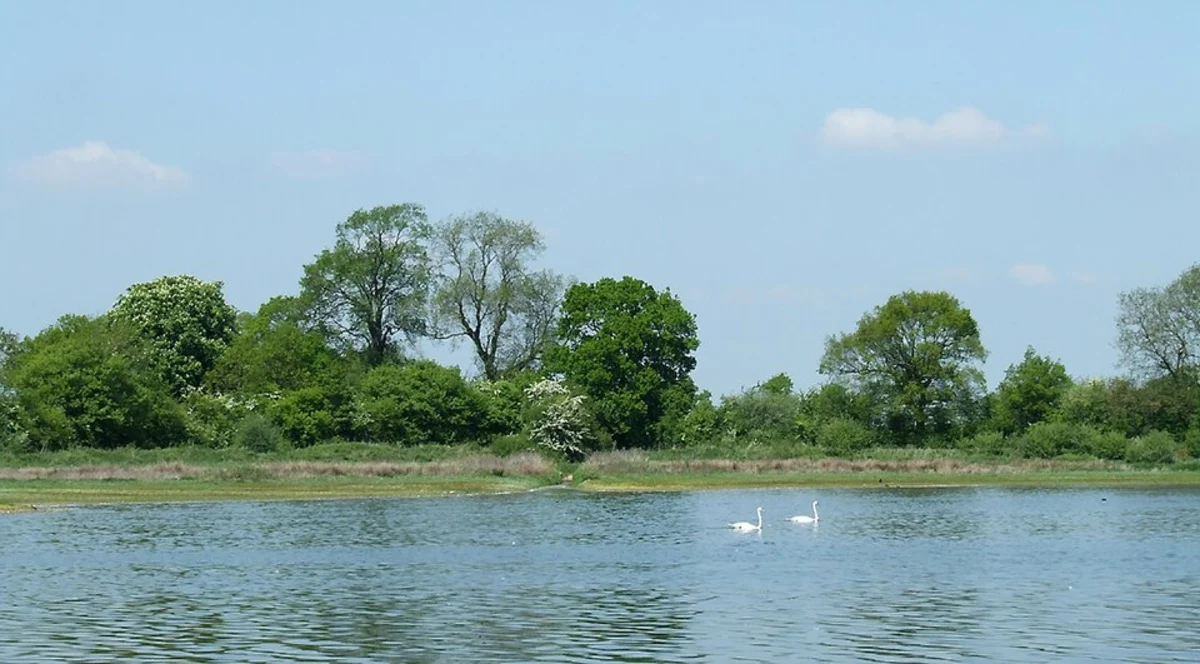 Belvide Reservoir Walk