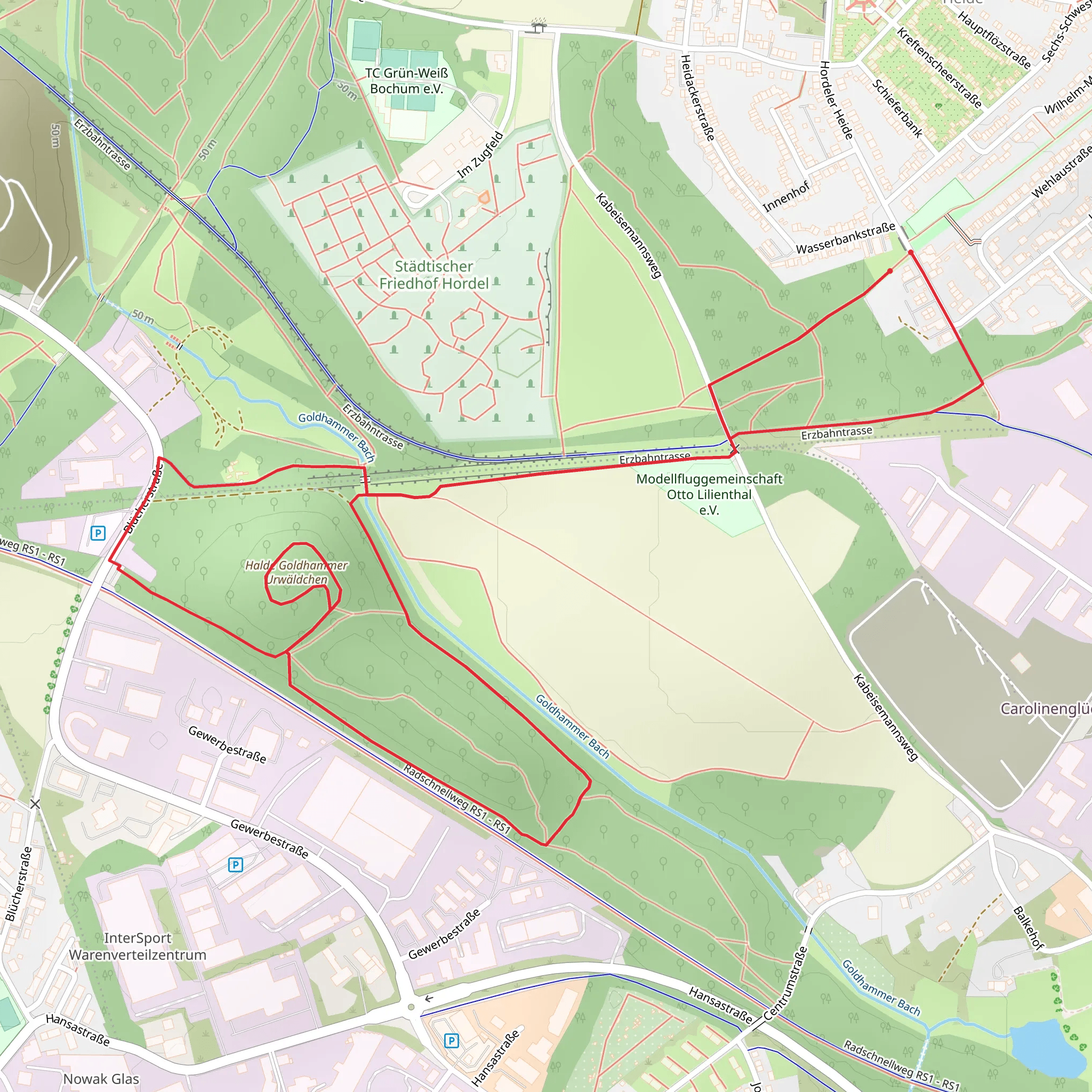 Halde Goldhammer Urwaldchen Loop mobile static map