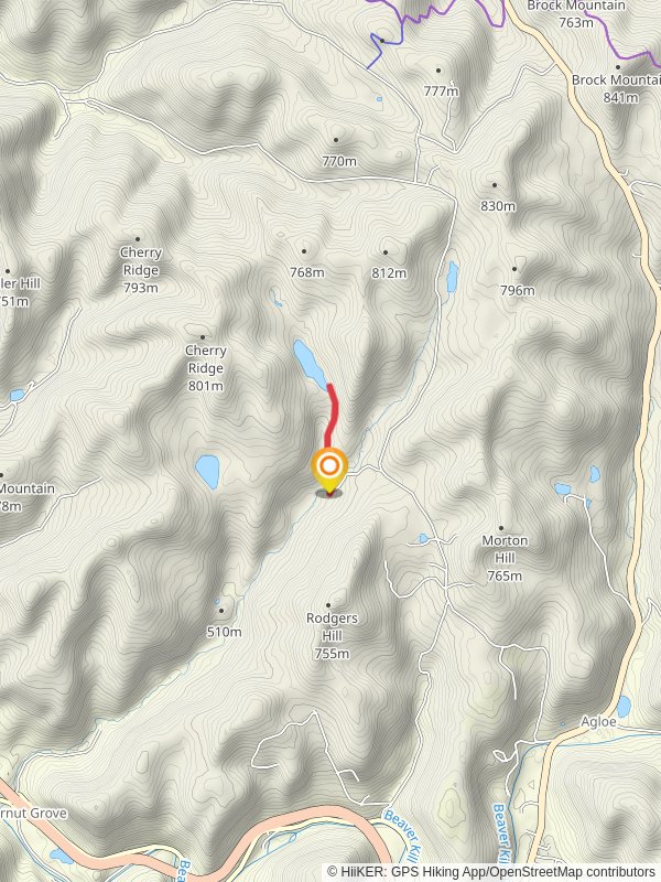 Cables Lake from Russell Brook Road