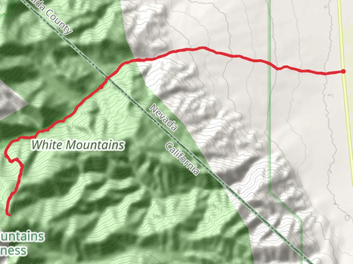 An image depicting the trail Leidy Creek Stock Trail and its surrounding area.