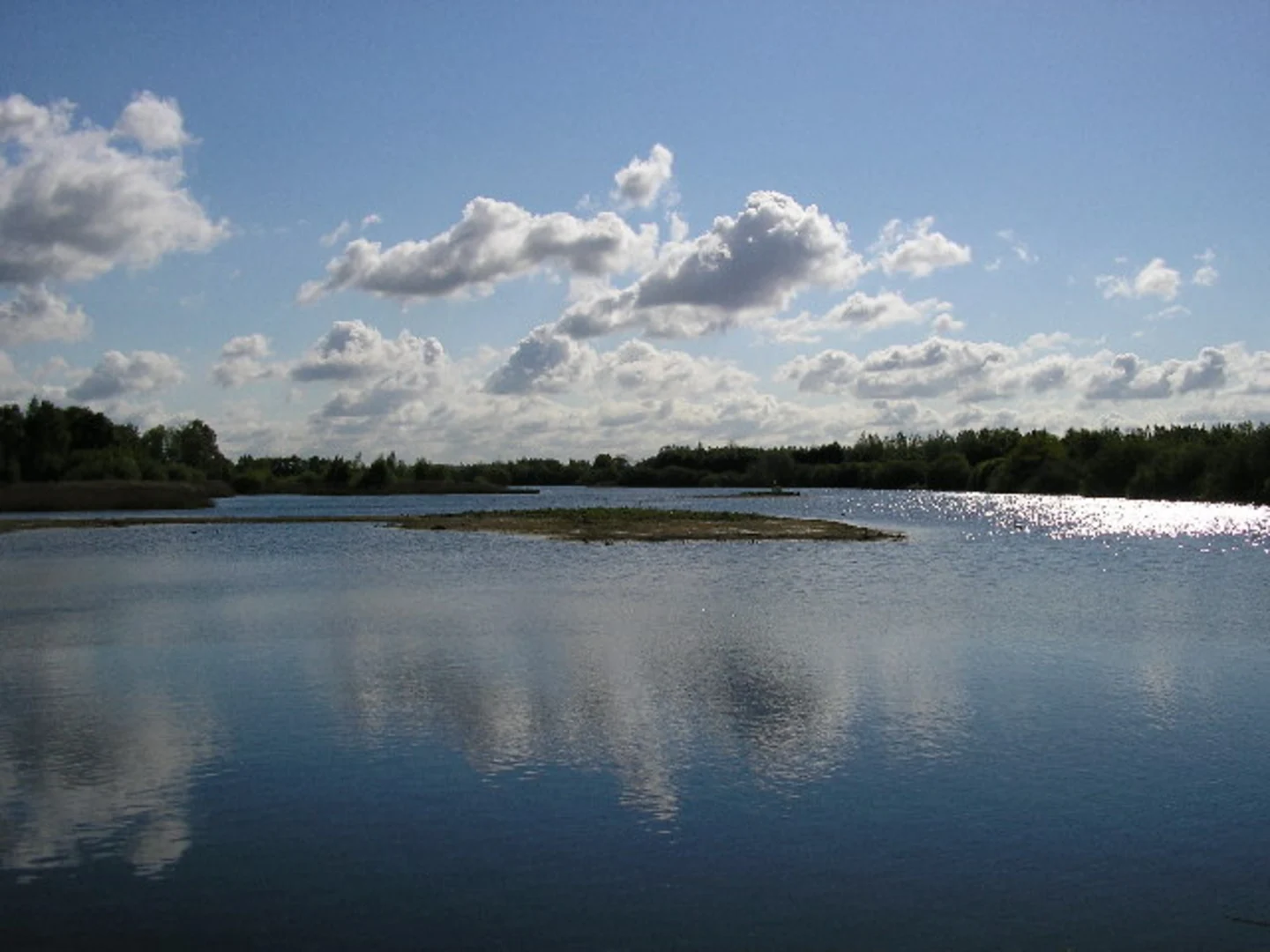 An image depicting the trail Grebe Lake Loop and its surrounding area.
