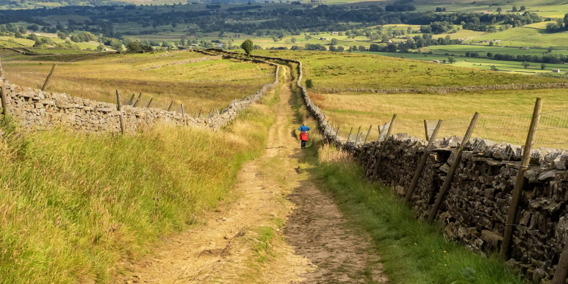 An image depicting the trail Thornton Rust - Addleborough - Askrigg - Mill Gill and Ellerkin Scar and its surrounding area.