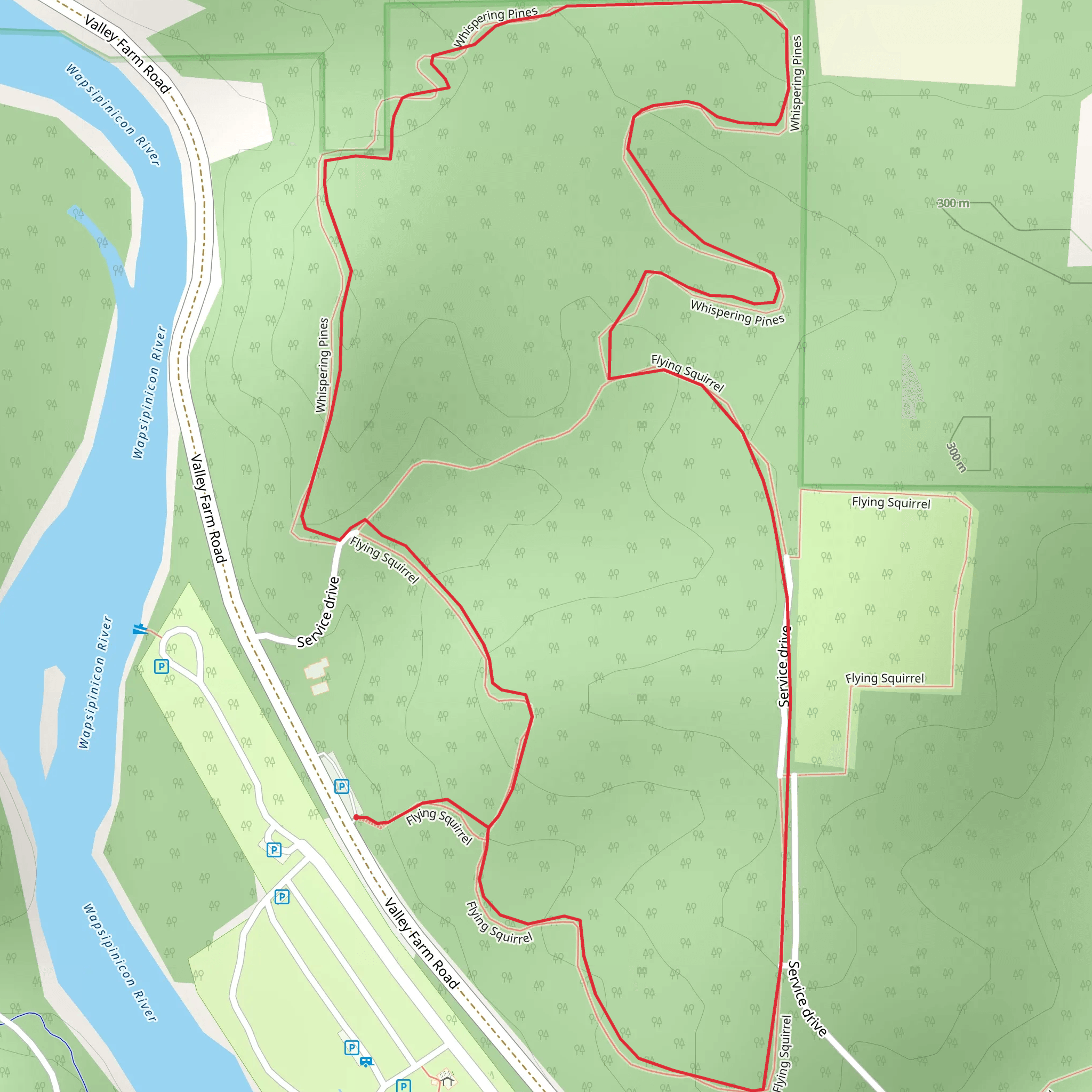 Flying Squirrel Loop Trail mobile static map