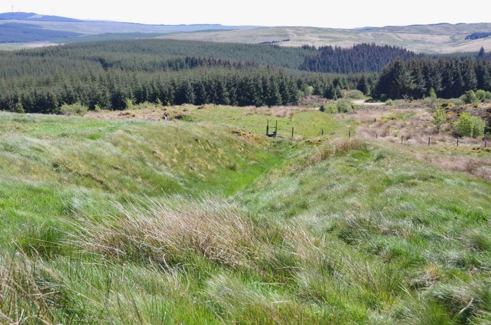 An image depicting the trail Castle O’er Hill Fort Trail and its surrounding area.