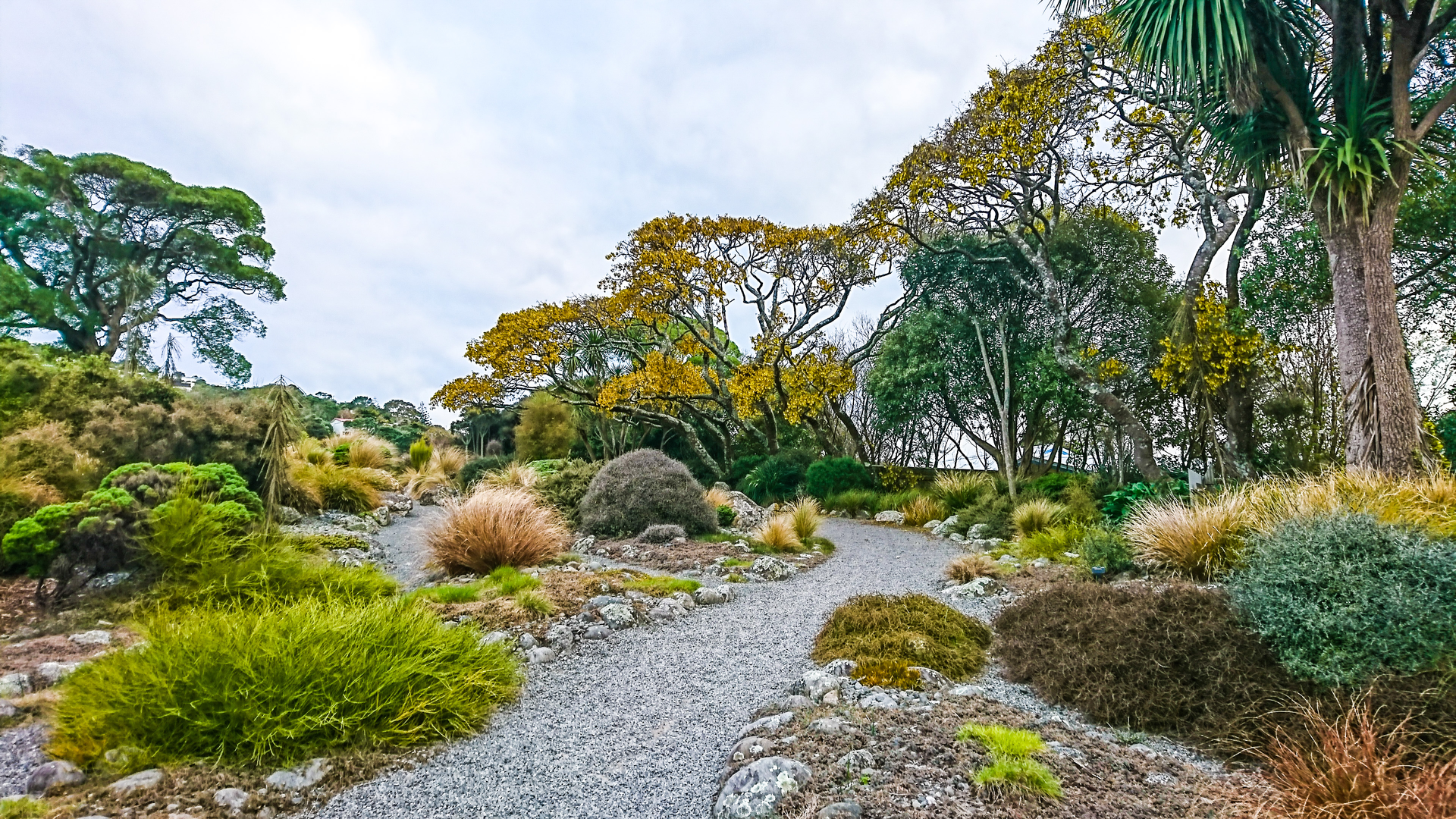 An image depicting the trail Otari Wilton Bush to Kaukau via Skyline Walkway and its surrounding area.