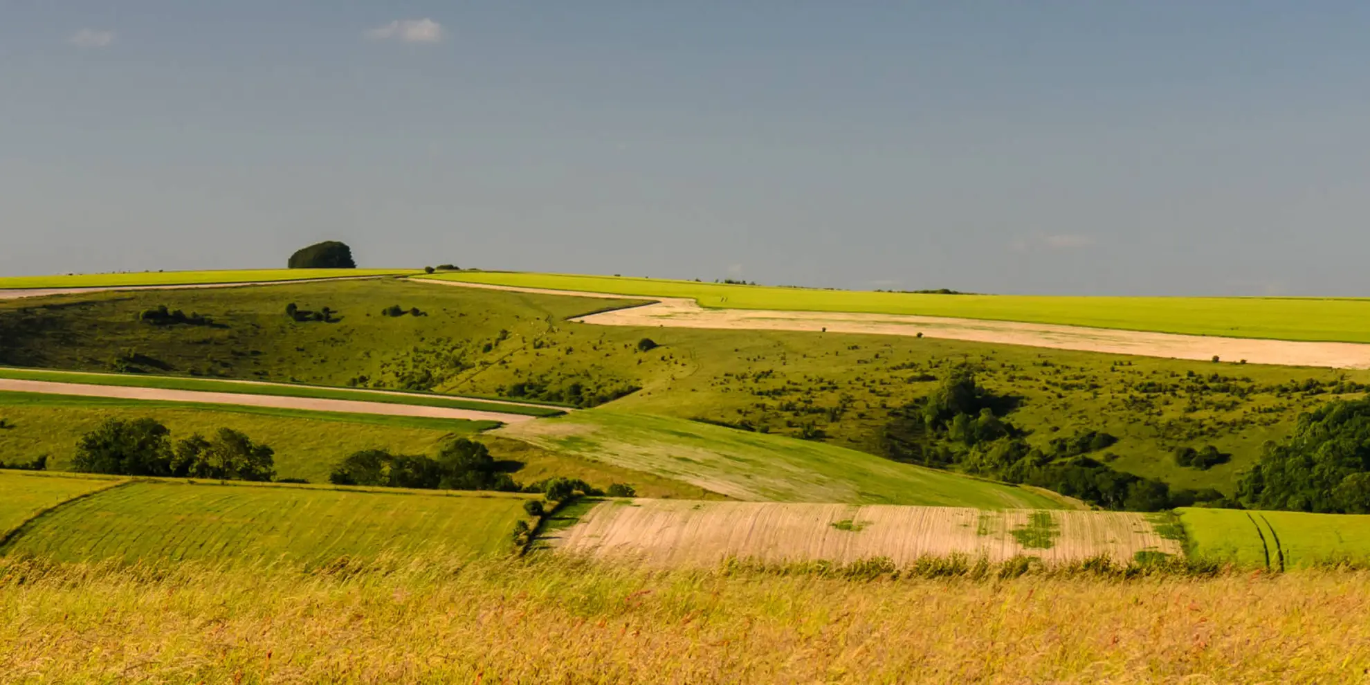 An image depicting the trail Win Green from Tollard Royal and its surrounding area.