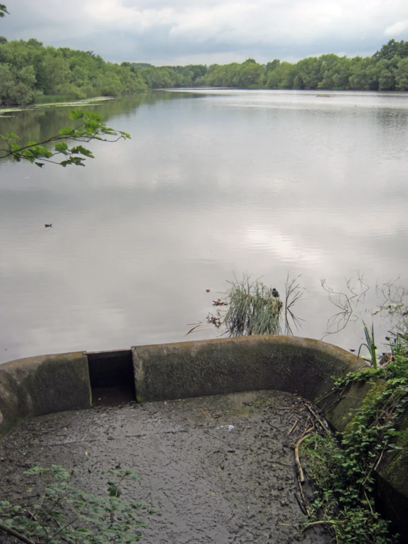 An image depicting the trail Mapperley Reservoir and Coppice Lake Loop and its surrounding area.