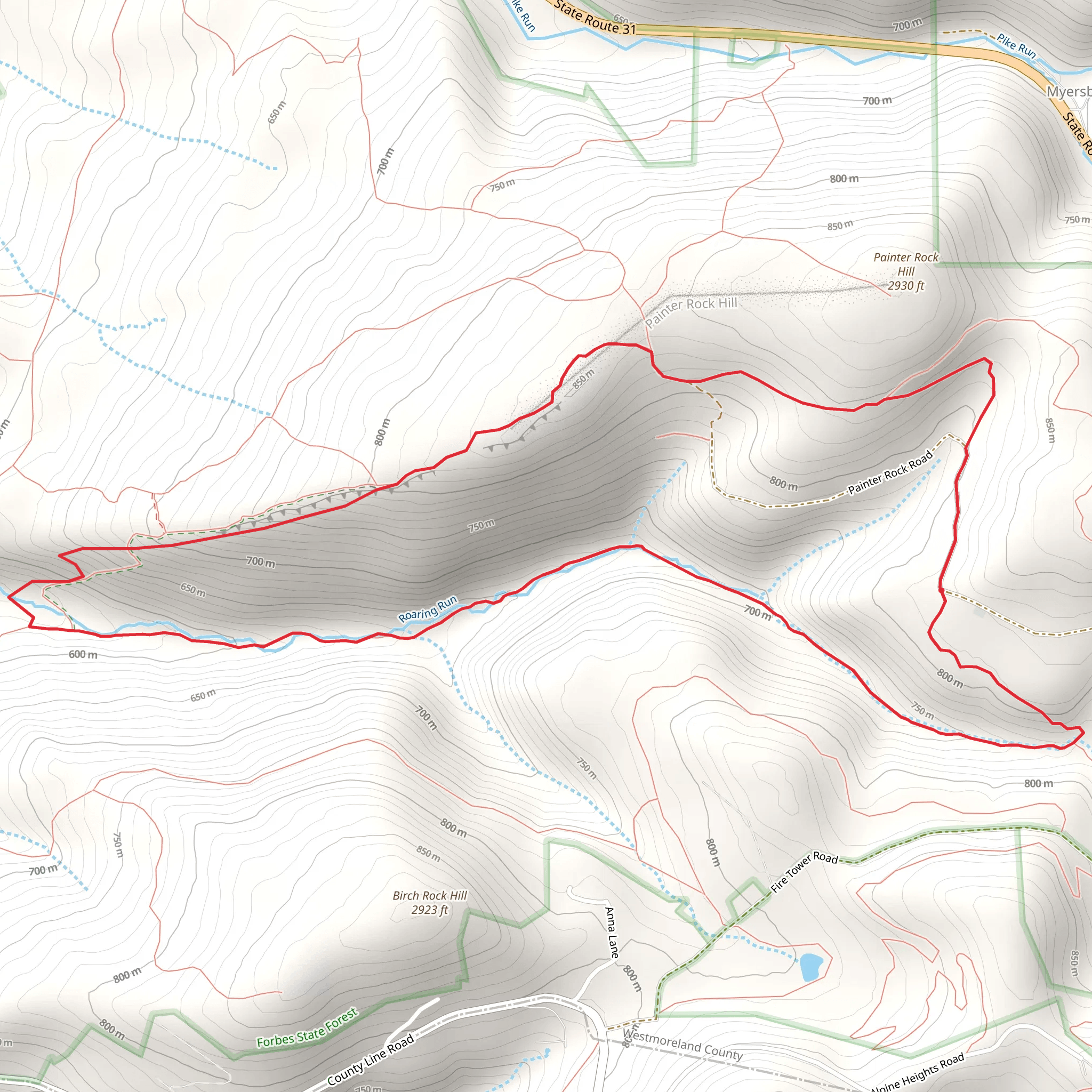 Roaring Run Trail Loop mobile static map