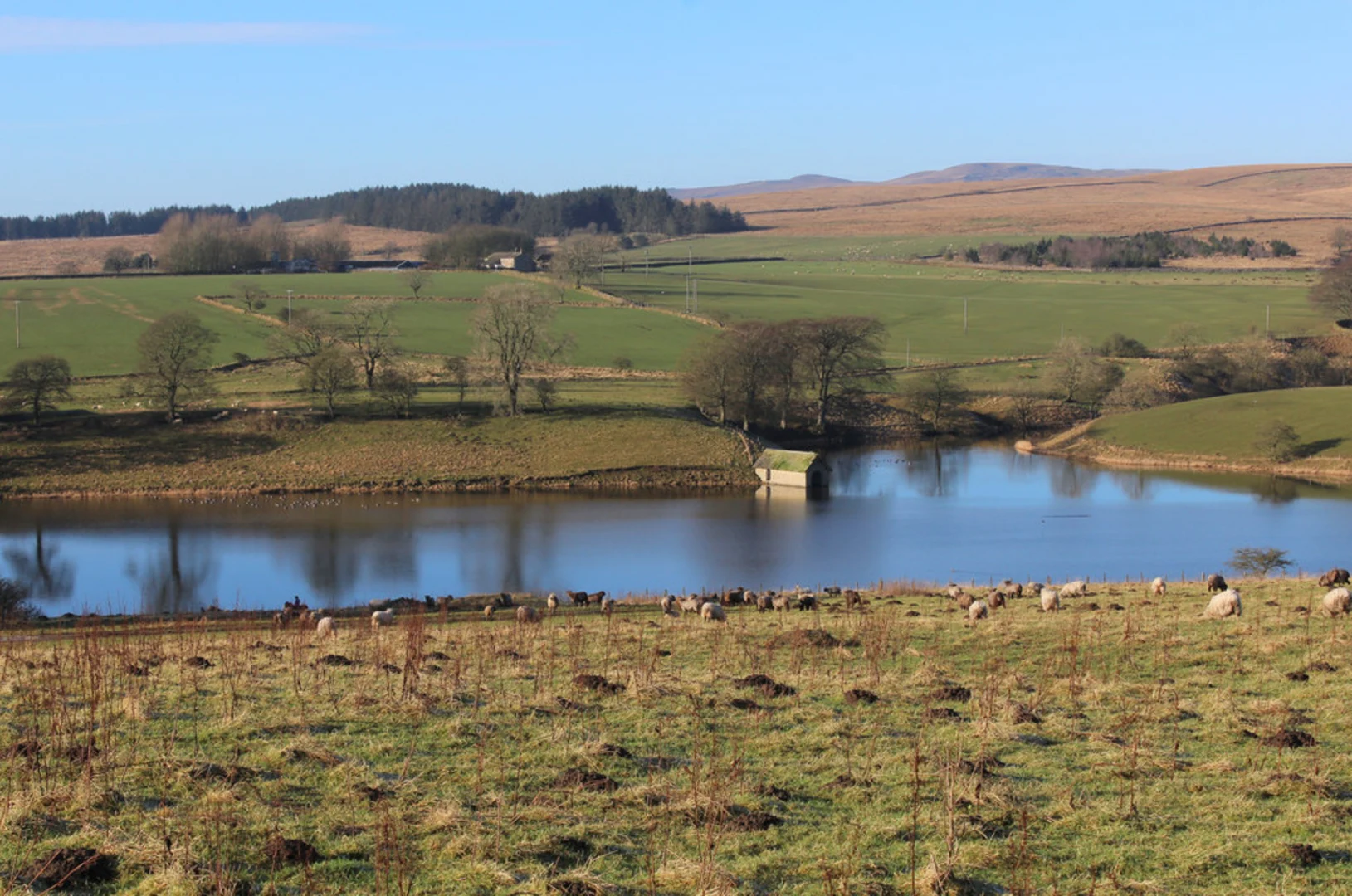An image depicting the trail Winterburn Reservoir from Winterburn and its surrounding area.