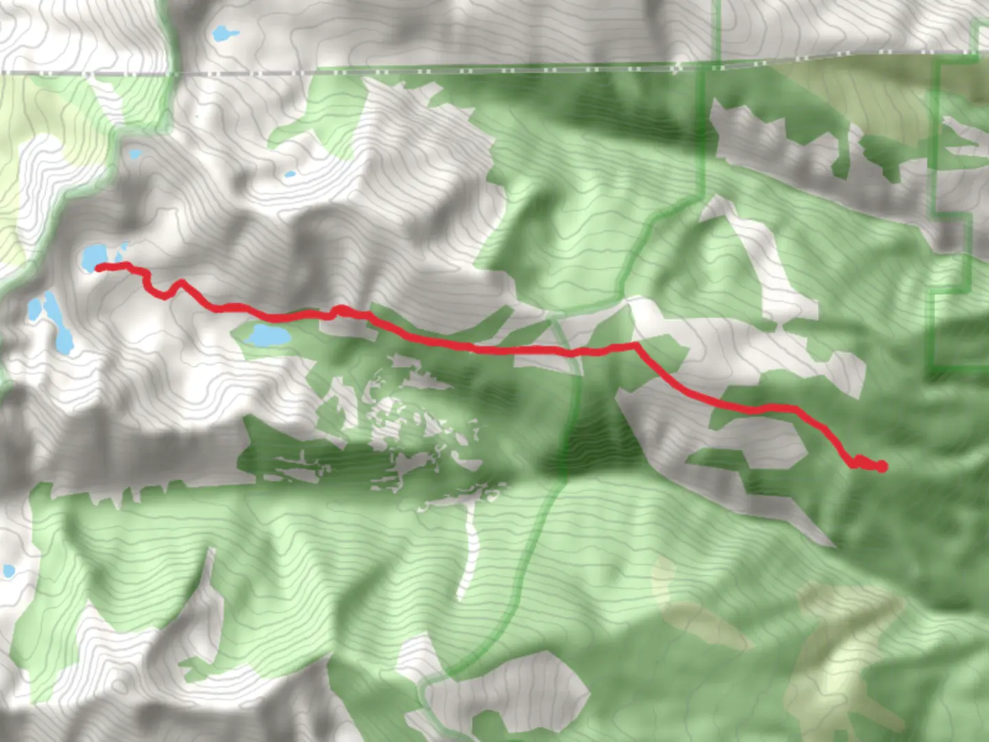 An image depicting the trail Duffy Lake via Holloway Lake Trail and its surrounding area.