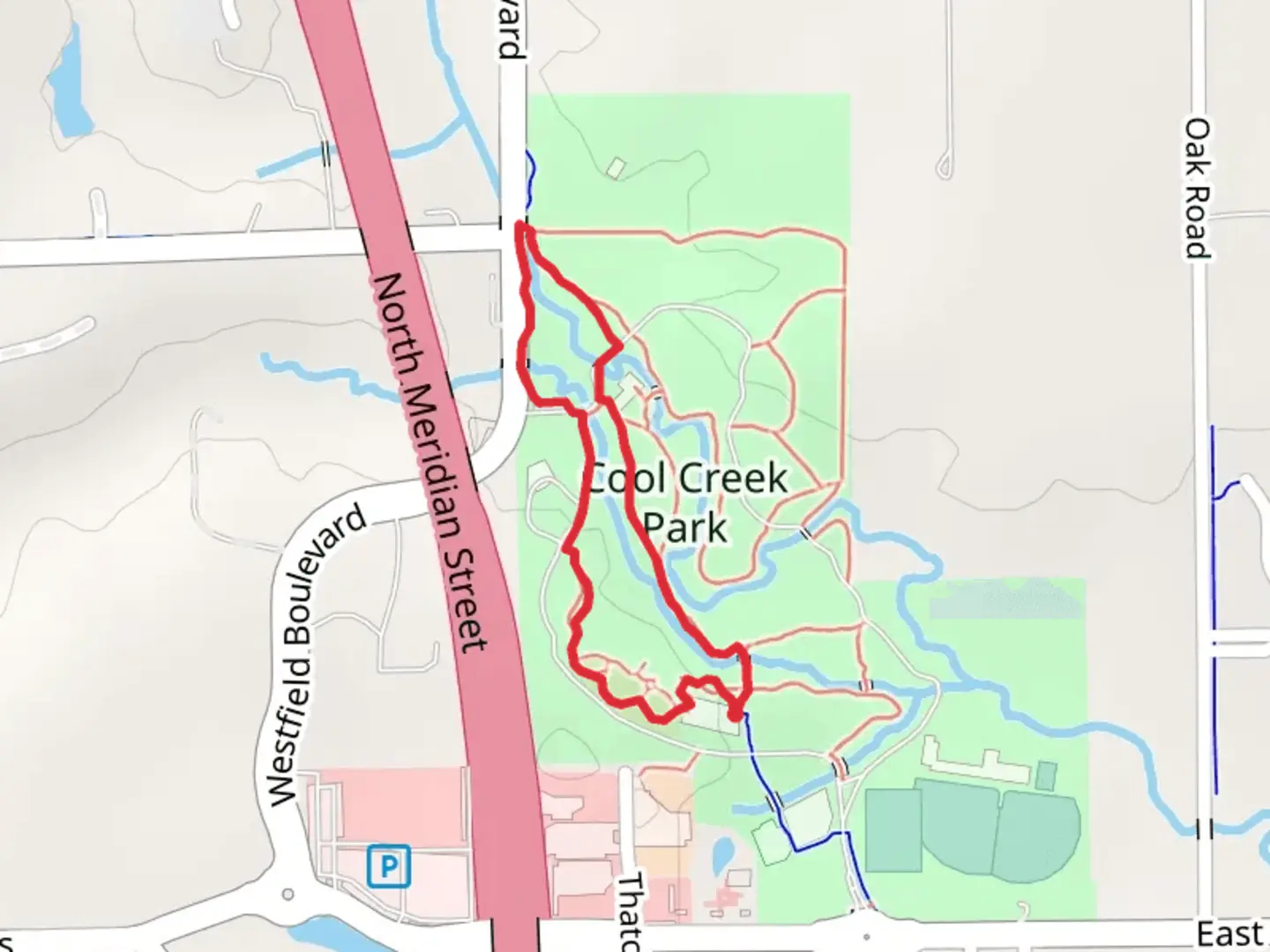 An image depicting the trail Natalie Wheeler and Beech-Tulip Loop Trail and its surrounding area.