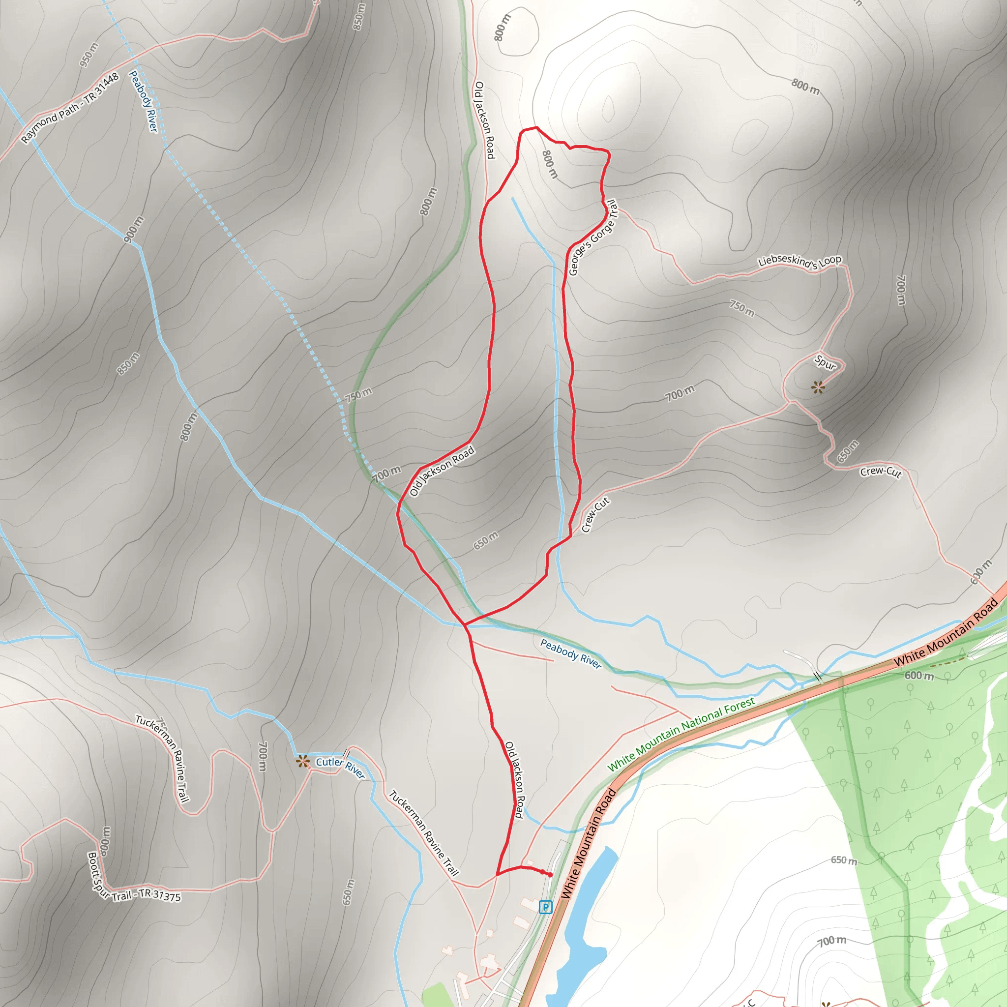Georges Gorge Trail via Appalachian Loop Trail mobile static map