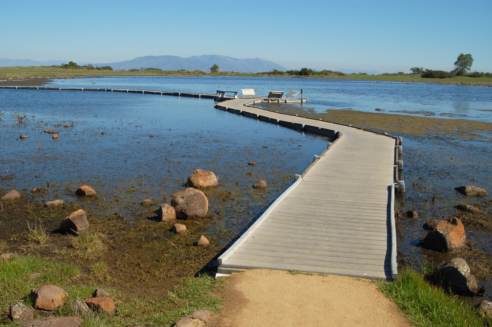 An image depicting the trail Vernal Pool Trail and Transpreserve Loop Trail and its surrounding area.