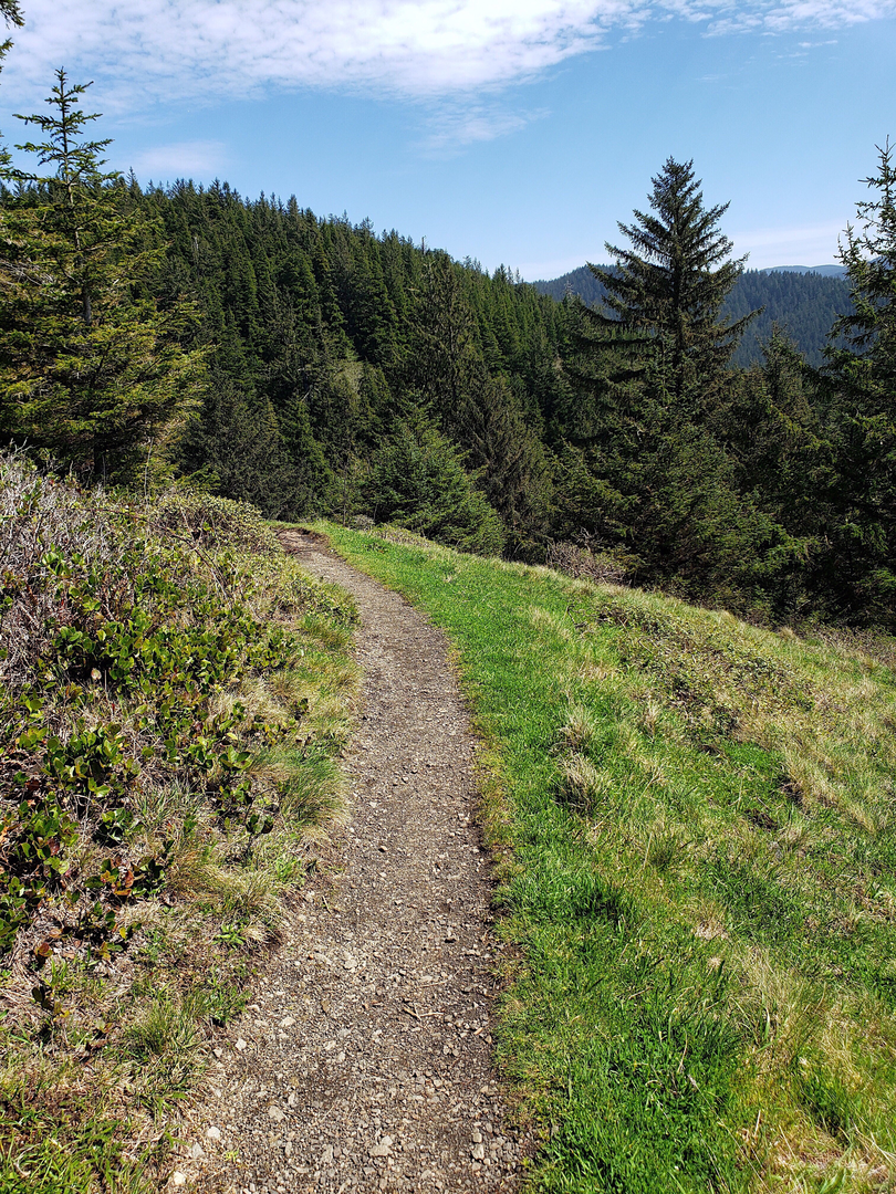 An image depicting the trail Willey Range Loop and its surrounding area.