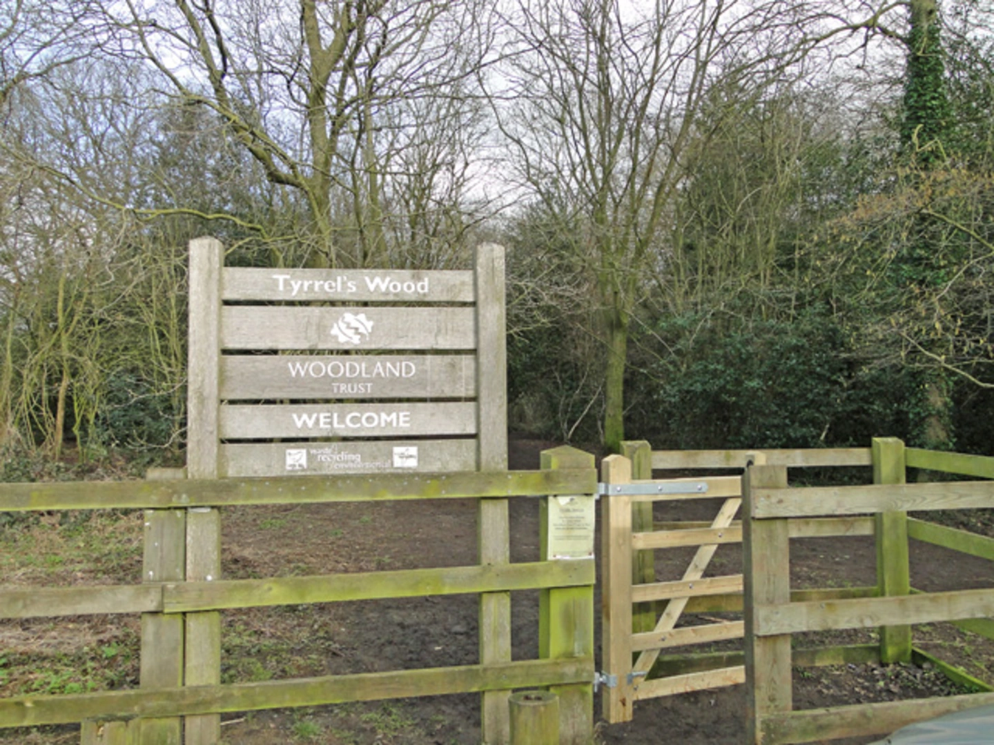 An image depicting the trail Tyrrel's Wood and Boudicca Way and its surrounding area.