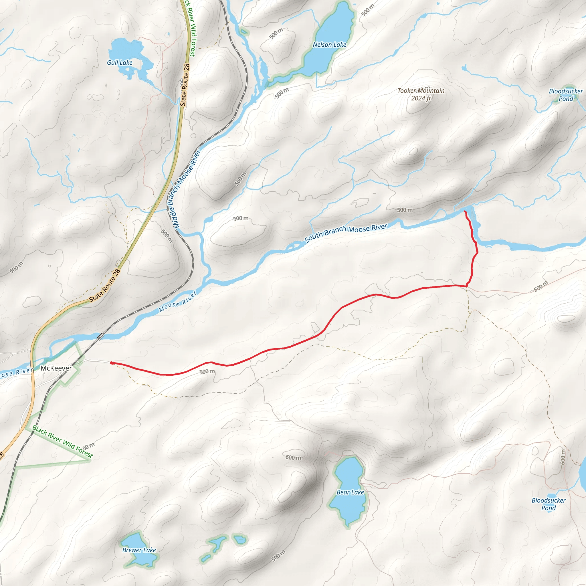 Remsen Falls via Black River Wild Forest mobile static map