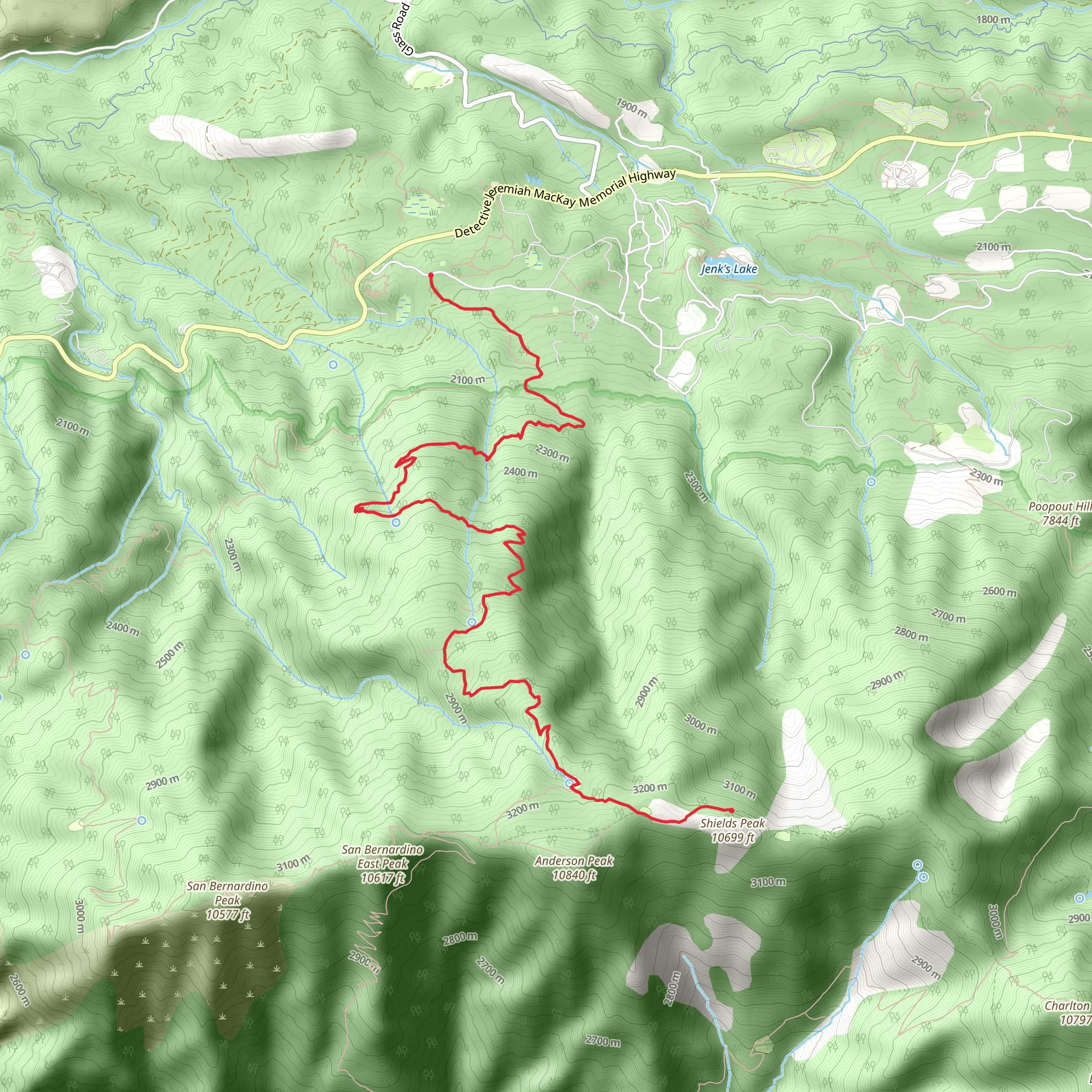San Bernardino Peak Trail and Forsee Creek Trail mobile static map