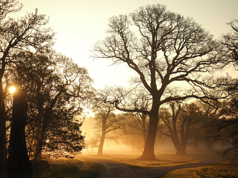 Windsor and Runnymede