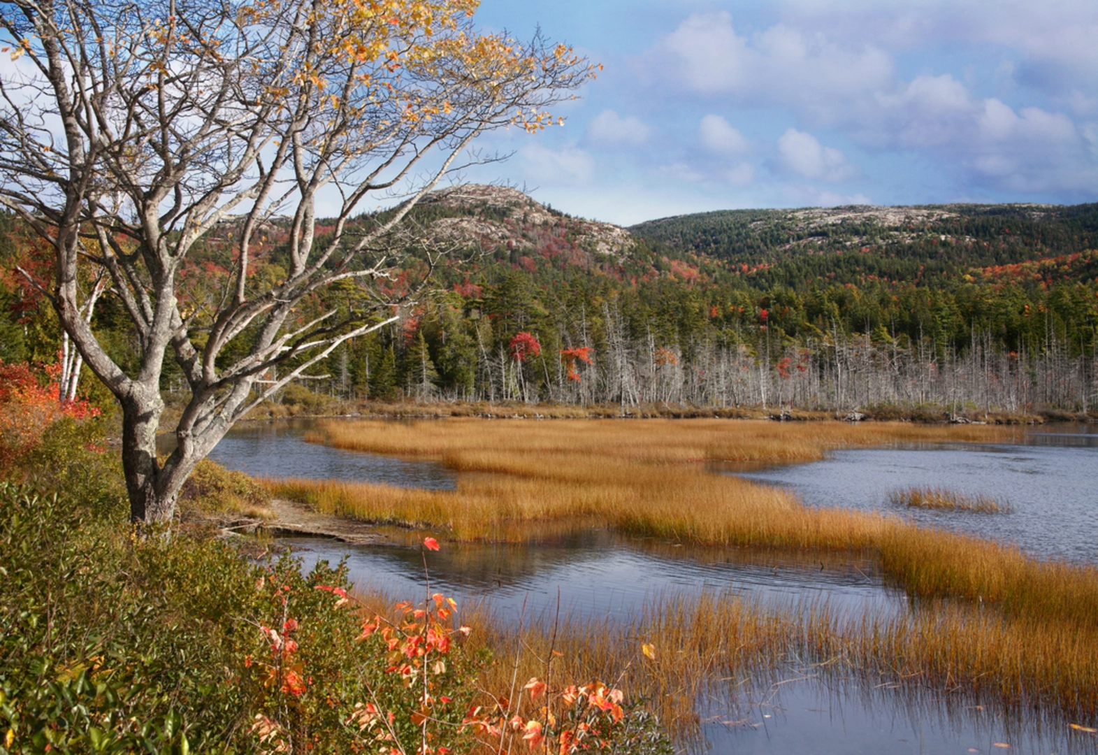 An image depicting the trail Bald Mountain via West Ledge Trail and its surrounding area.