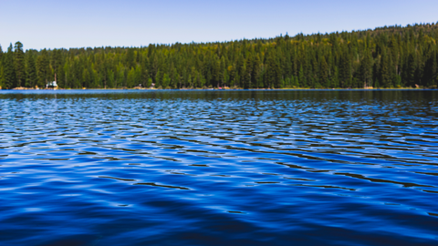 An image depicting the trail Spaulding Lake via Fuller Lake Trail and its surrounding area.