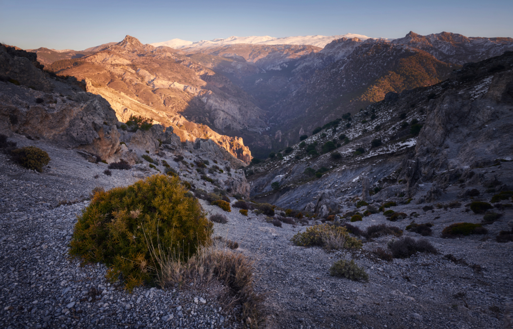 An image depicting the trail PR A 327 Pinares de La Zubia and its surrounding area.
