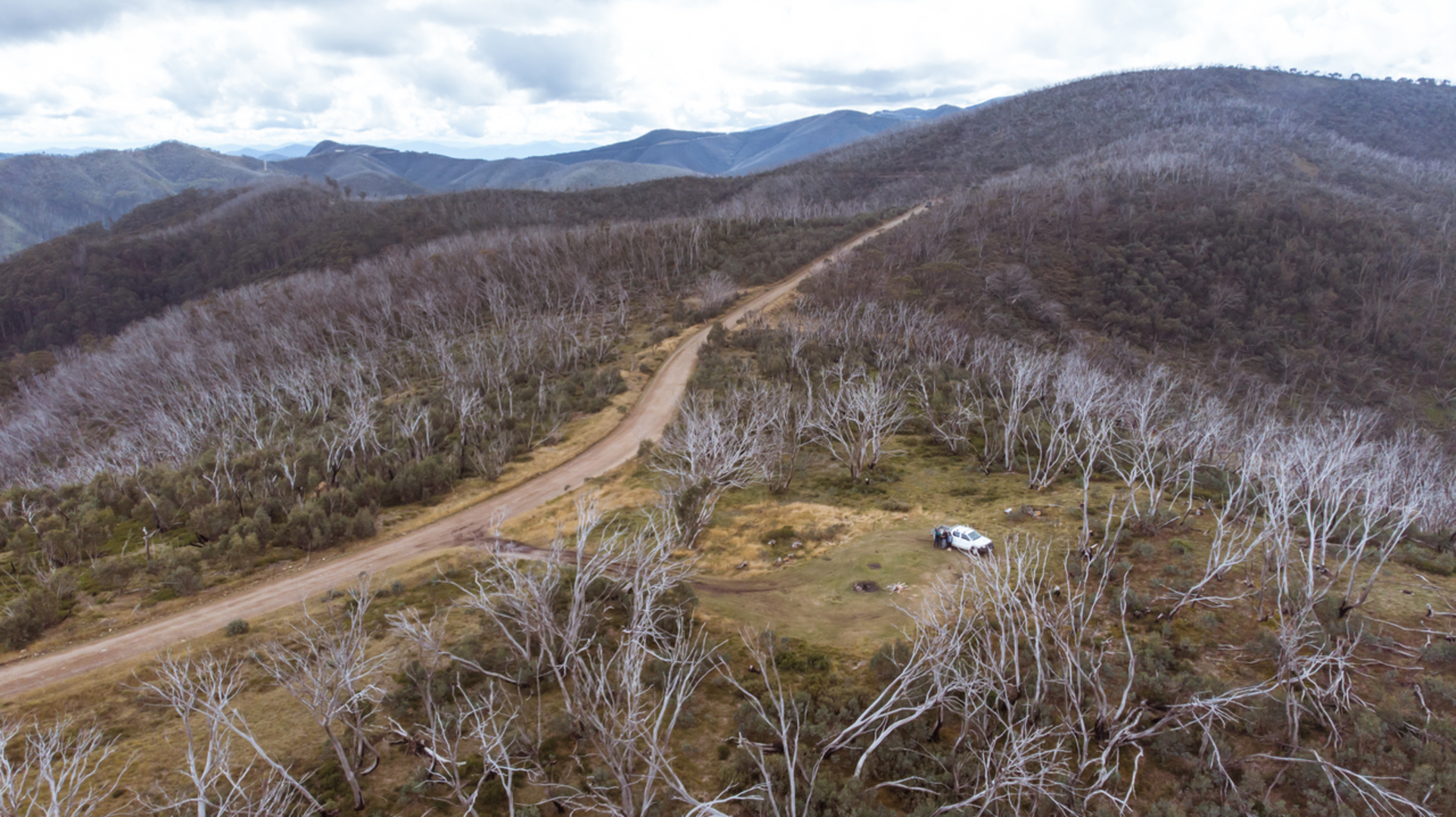 An image depicting the trail Cobungra Ditch Trail and its surrounding area.