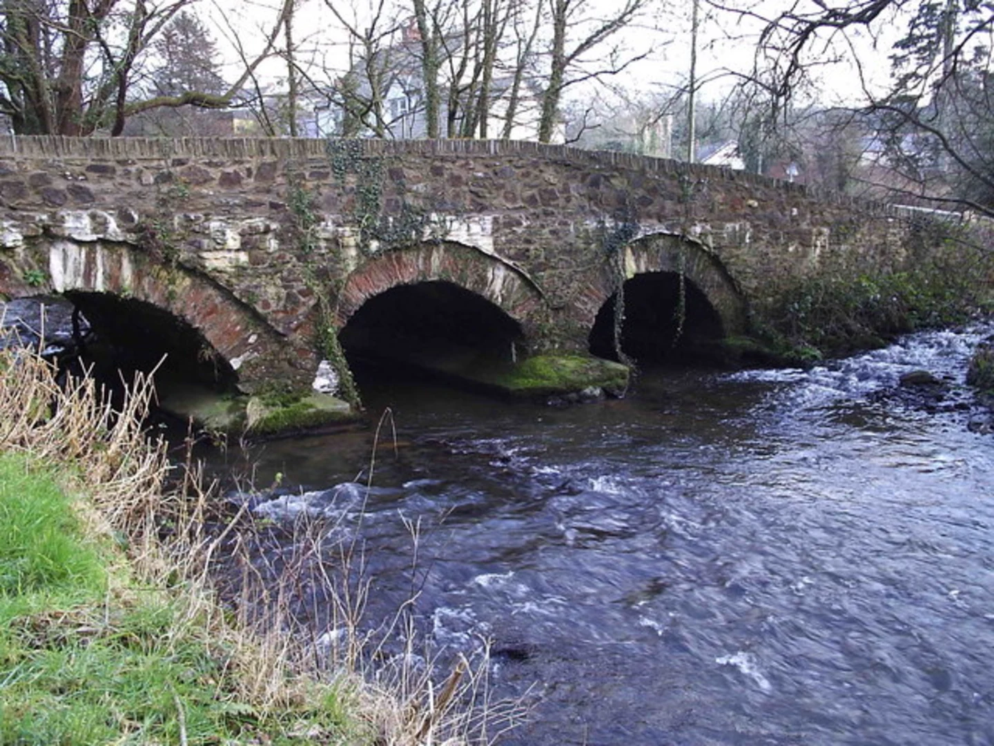 An image depicting the trail Llanychaer Path and its surrounding area.