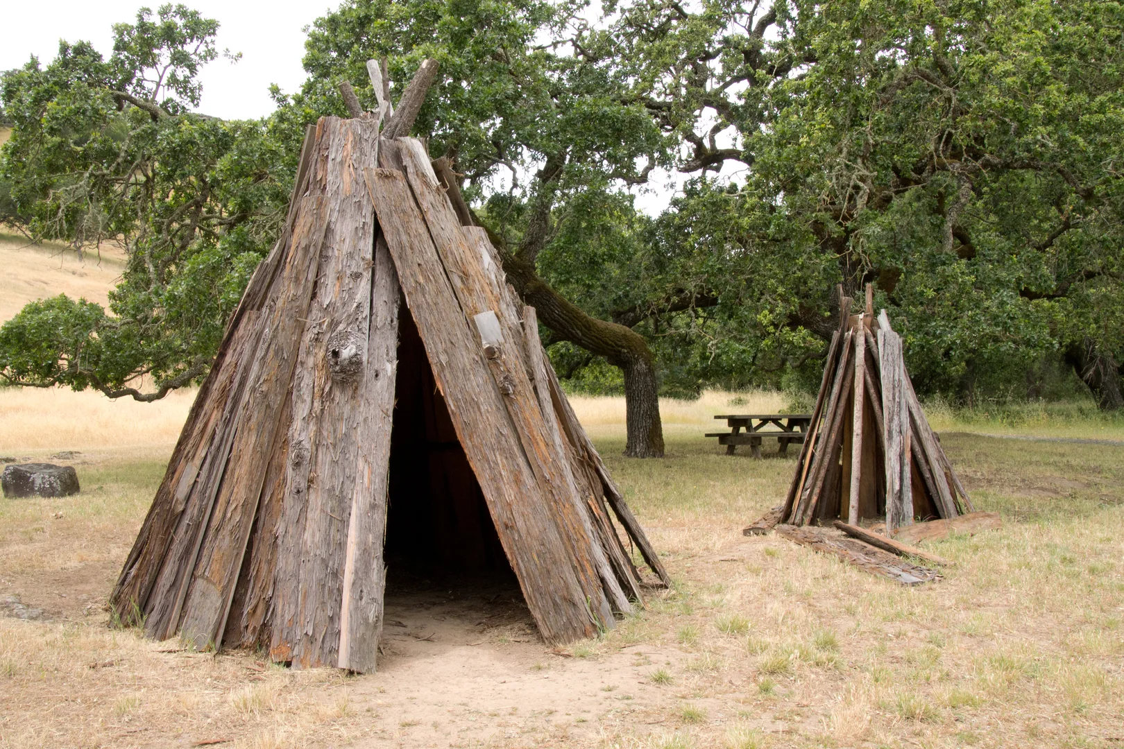An image depicting the trail Miwok Trail and Lower Mount Burdell Trail Loop and its surrounding area.