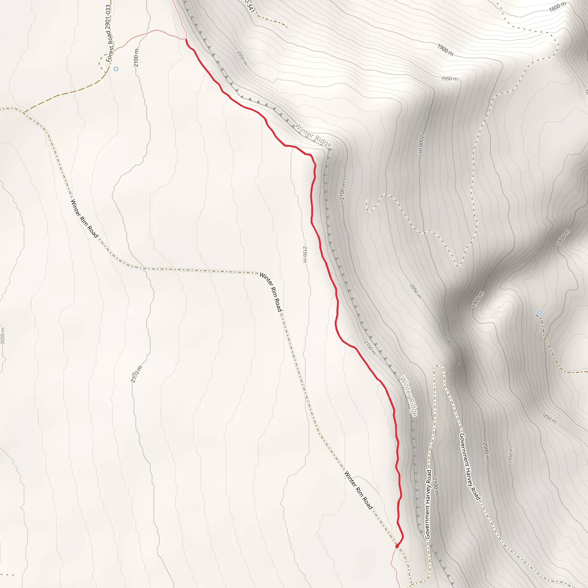 Freemont NRT Short Trail from Winter Rim Road mobile static map