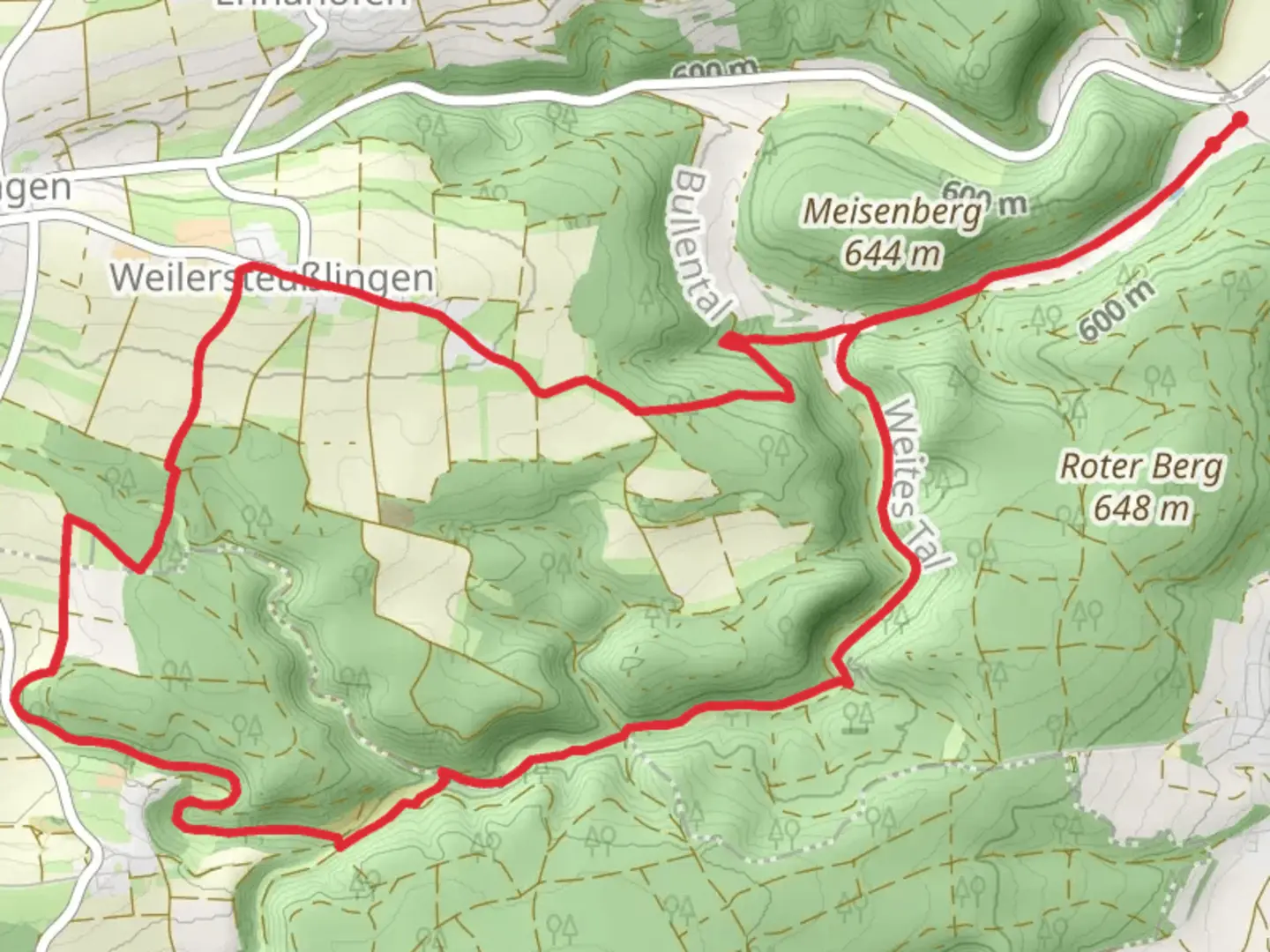 An image depicting the trail Ruine Briel Loop and its surrounding area.