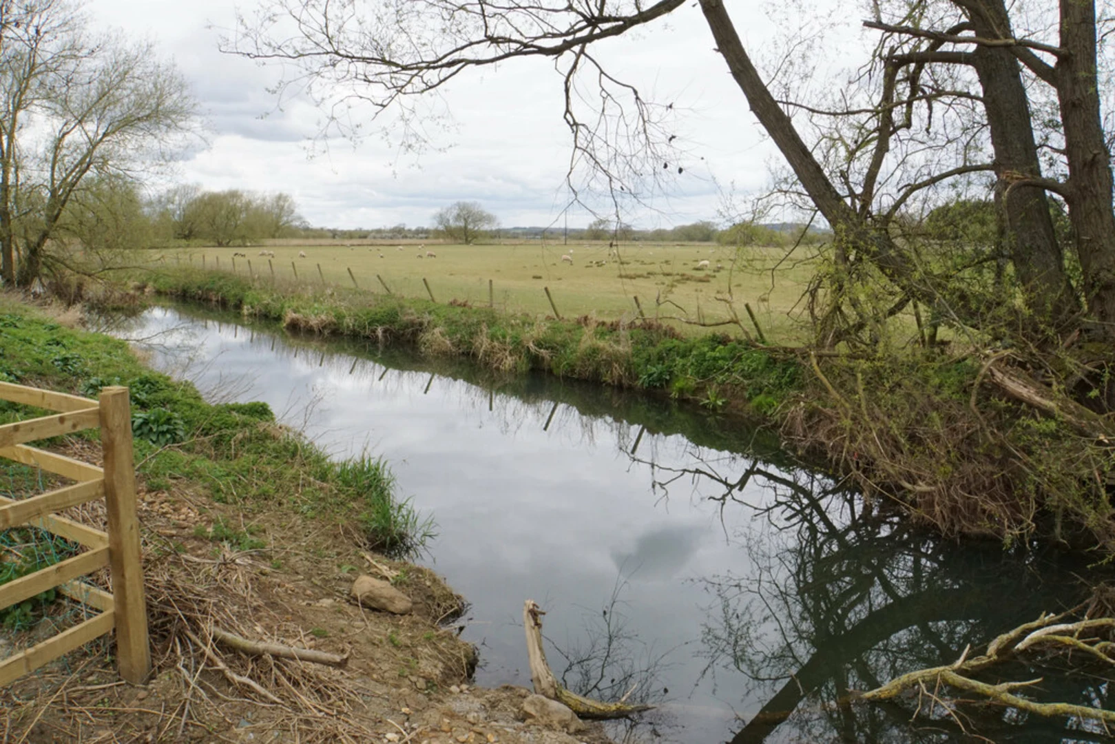 An image depicting the trail Upton Country Park Loop and its surrounding area.